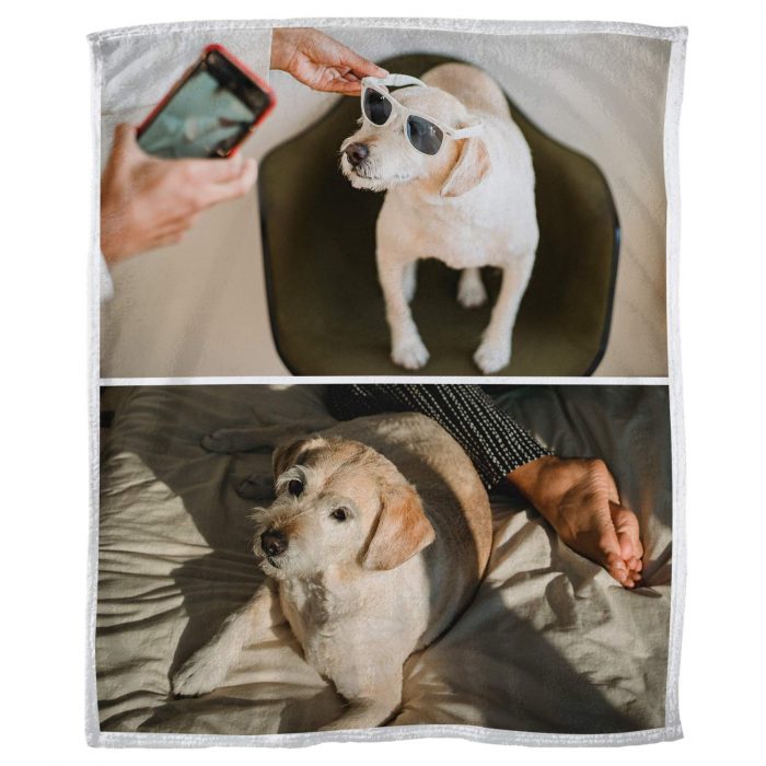 Dog Blanket